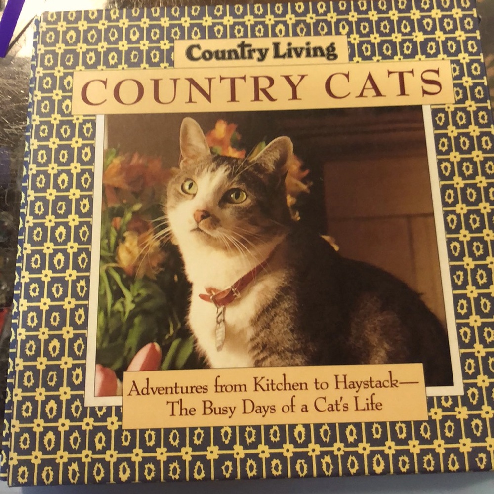 Vintage country cat book